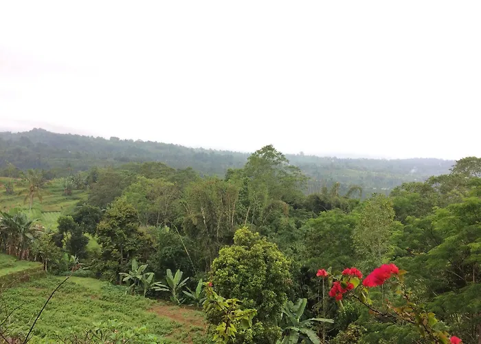 Guest house Pacung Indah & Restaurant By Ecommerceloka Bedugul (Bali)